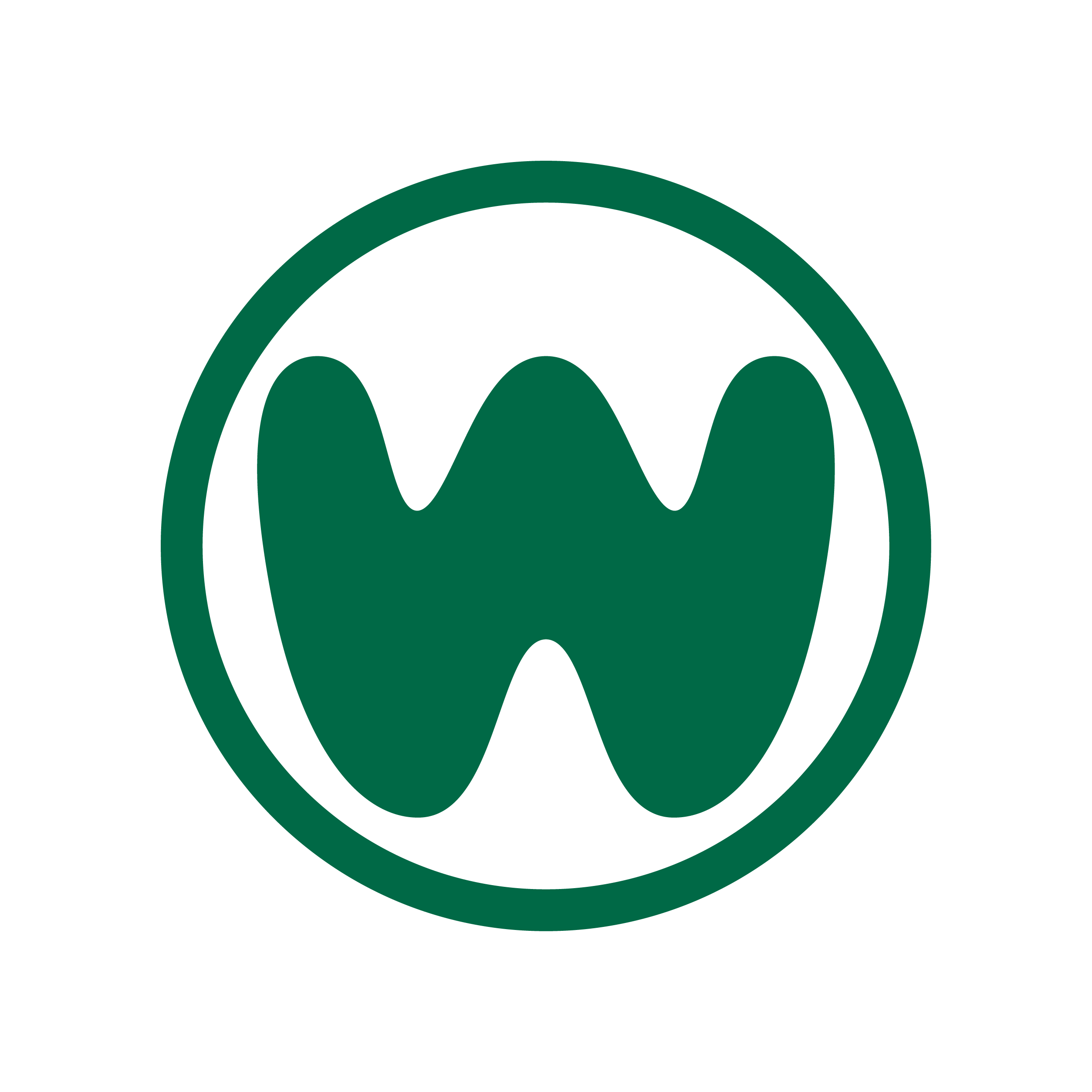 Wasatch Bubbles & Shine Logo